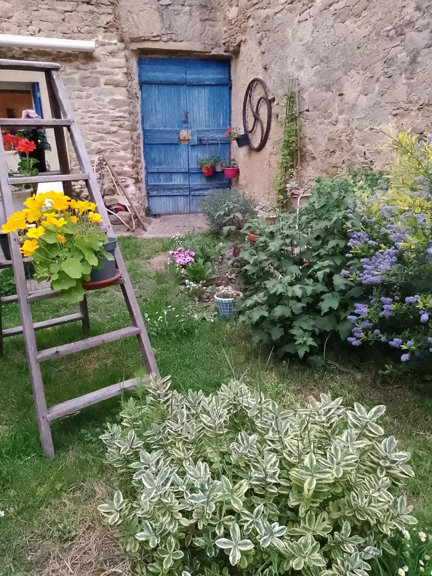 Maison Isivier Magrie Dış mekan fotoğraf